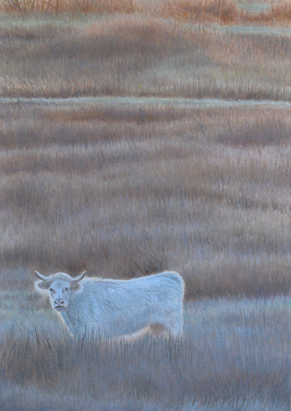 Dawn in the moors full front, cow oil painting, original landscape,