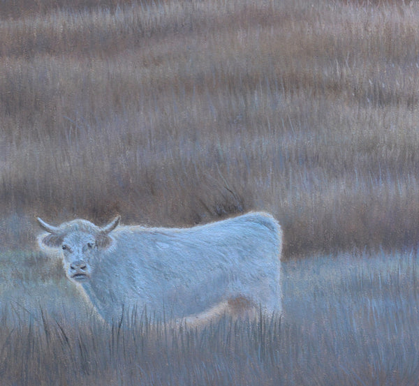 Dawn in the moors close up, cow oil painting, original landscape,