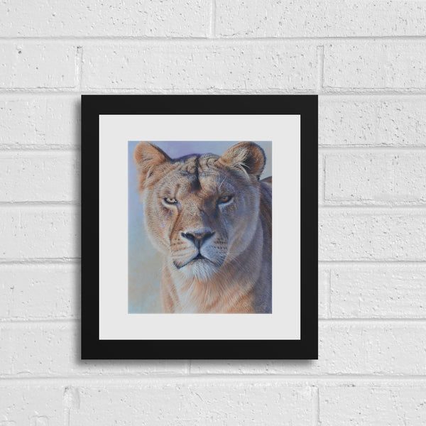 Sam Dolman Freya Lion Fine Art, Black Frame