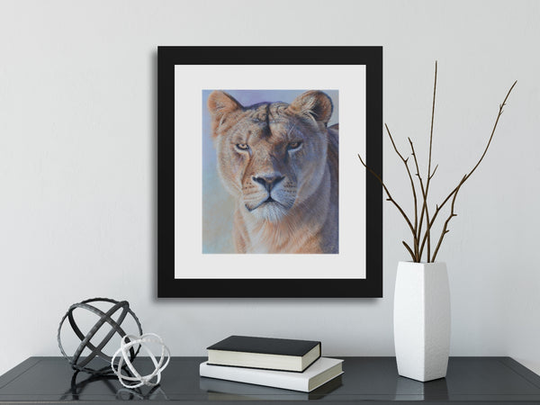 Sam Dolman Freya Lion Fine Art, Black Frame, in scene