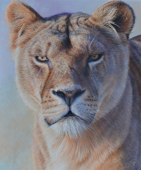 Sam Dolman Freya Lion Fine Art, Front image