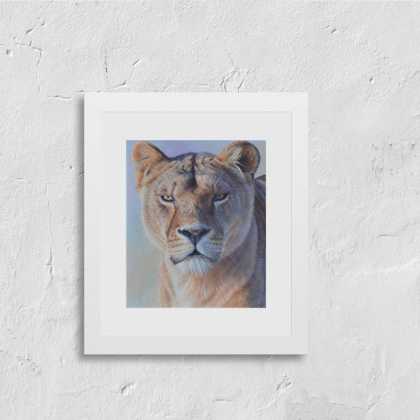 Sam Dolman Freya Lion Fine Art, White frame