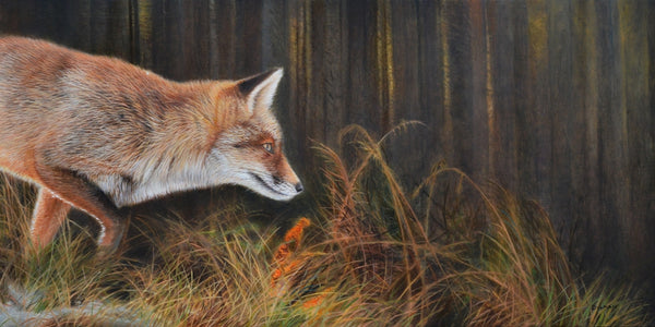 Into the woods, original oil painting, fox, full front