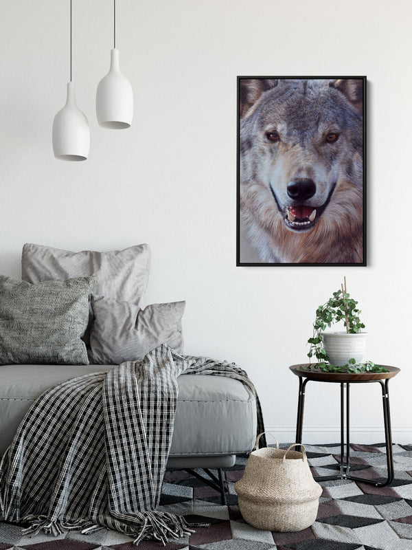 Sam Dolman Lupe Wolf Wall Art,  Black frame in scene