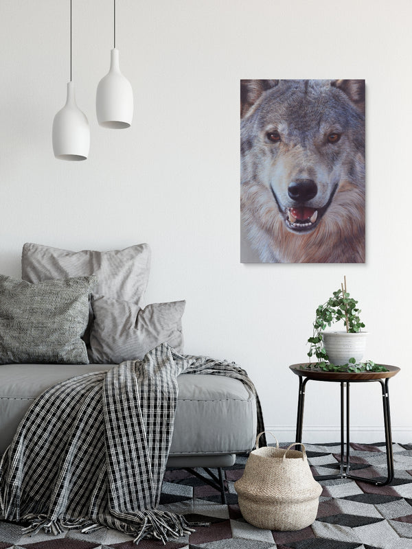 Sam Dolman Lupe Wolf Wall Art,  Canvas in scene