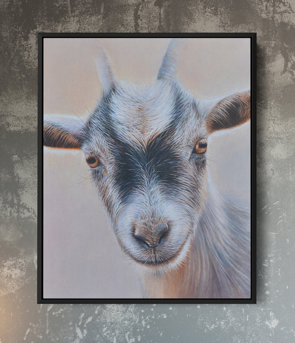 Sam Dolman Pickles Goat Canvas Art, Black frame
