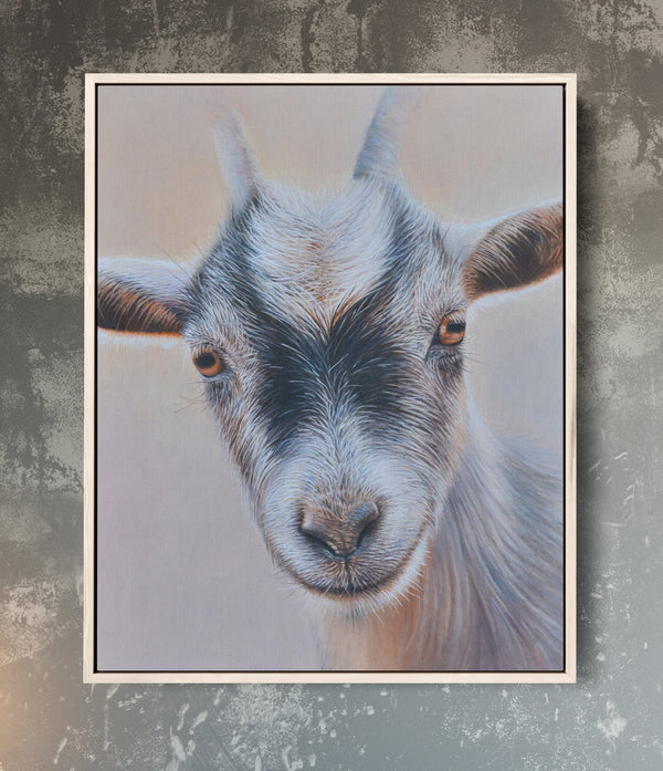 Sam Dolman Pickles Goat Canvas Art, Natural frame