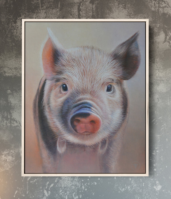 Sam Dolman Poppy Pig Canvas Art, Natural frame