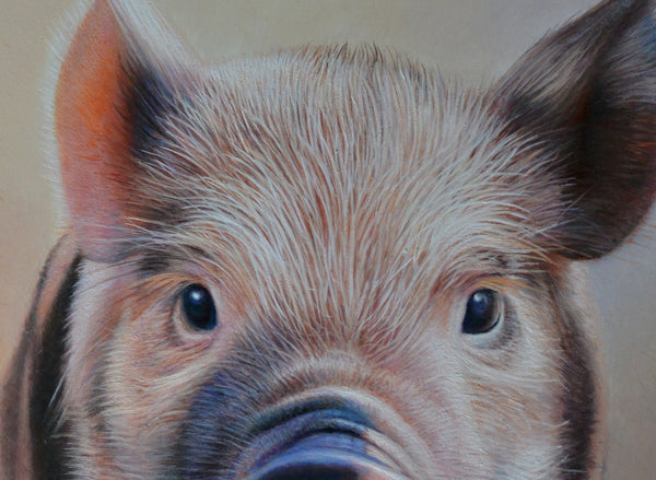 Sam Dolman Poppy Pig Canvas Art, Close-up
