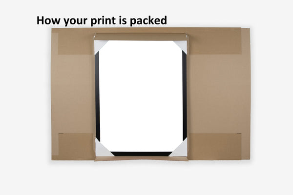 SALLY - Cow Fine Art Paper Print