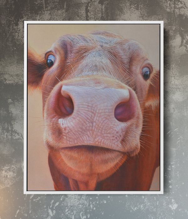 Sam Dolman Rita Cow Canvas Art, White frame