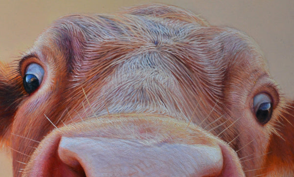 Sam Dolman Rita Cow Canvas Art, Close-up