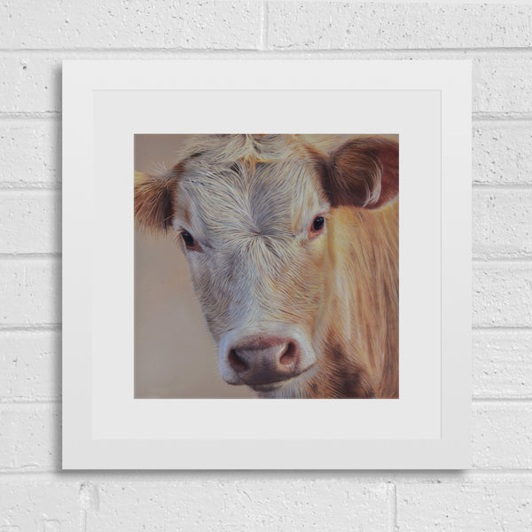 Sam Dolman Sally Cow Fine Art, White frame