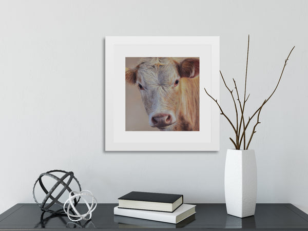 Sam Dolman Sally Cow Fine Art, White frame in scene