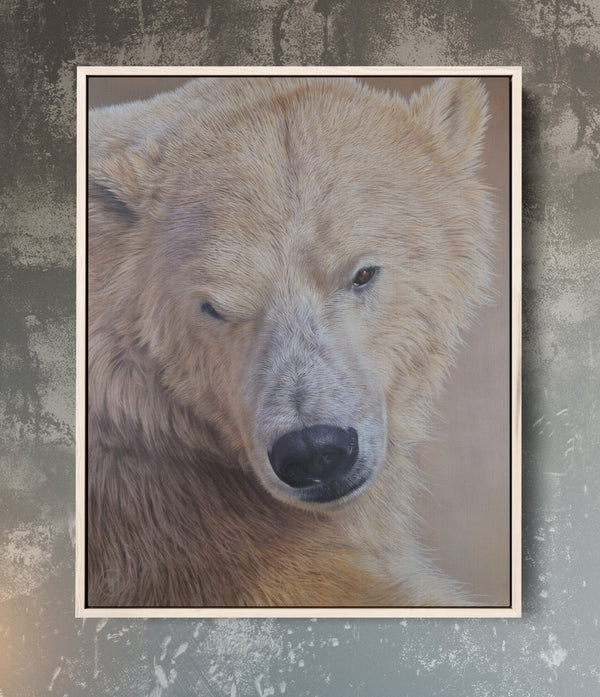 Sam Dolman Tala Polar Bear Canvas Art, Natural frame