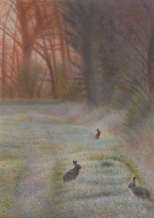 Wanderers full front, rabbit oil painting, original hare, woodland scene