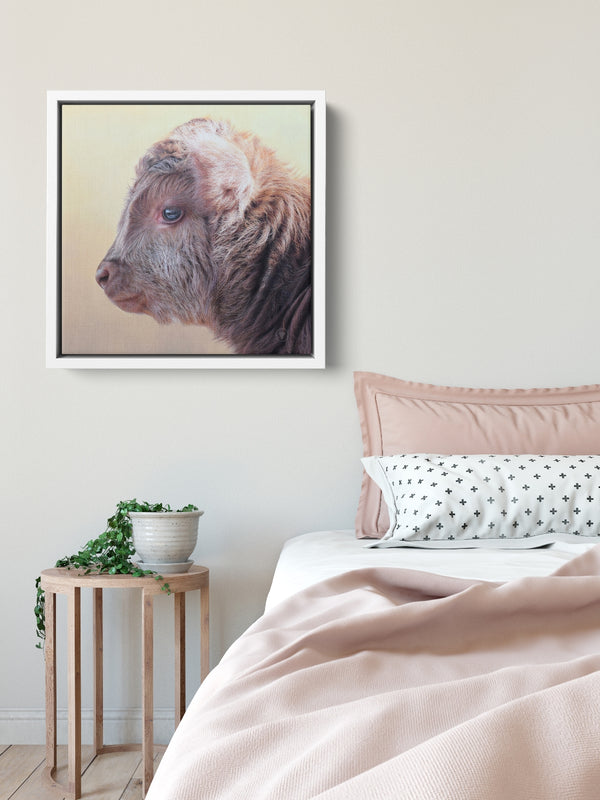 Sam Dolman Tilly Cow Canvas Art, White frame in scene