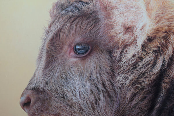 Sam Dolman Tilly Cow Canvas Art, Close-up