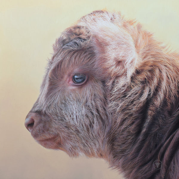 Sam Dolman Tilly Cow Canvas Art, Front view