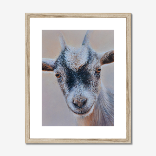 Sam Dolman Pickles Goat Fine Art, Wooden frame
