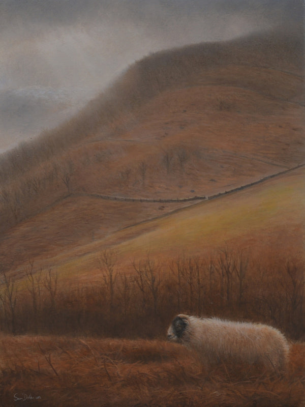 Borrowdale, low cloud
