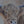 Daphne up close, cow painting