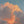 In the Company of Clouds