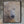 Sam Dolman Tala Polar Bear Canvas Art, Black frame 