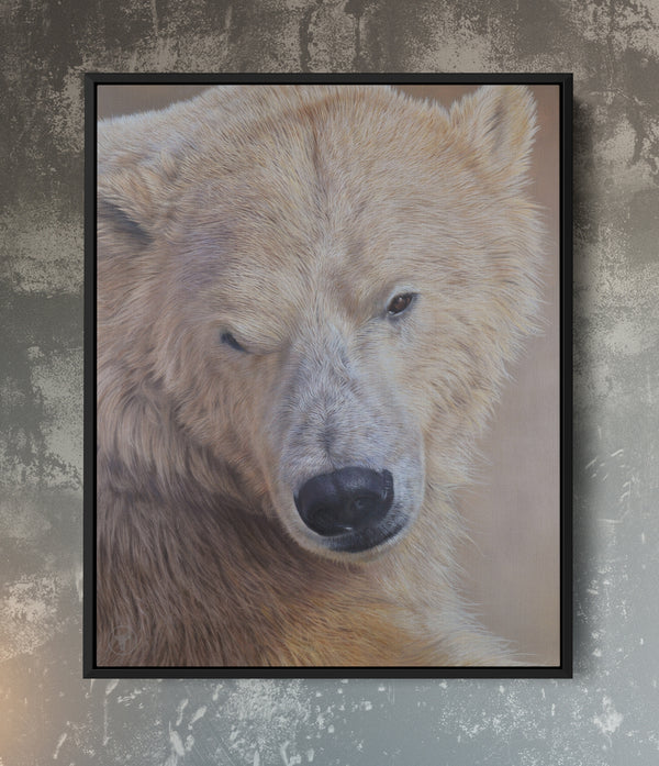 Sam Dolman Tala Polar Bear Canvas Art, Black frame 