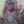 Sam Dolman Tilly Cow Canvas Art, Close-up